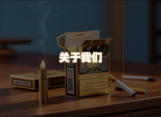 关于蓝帝网
